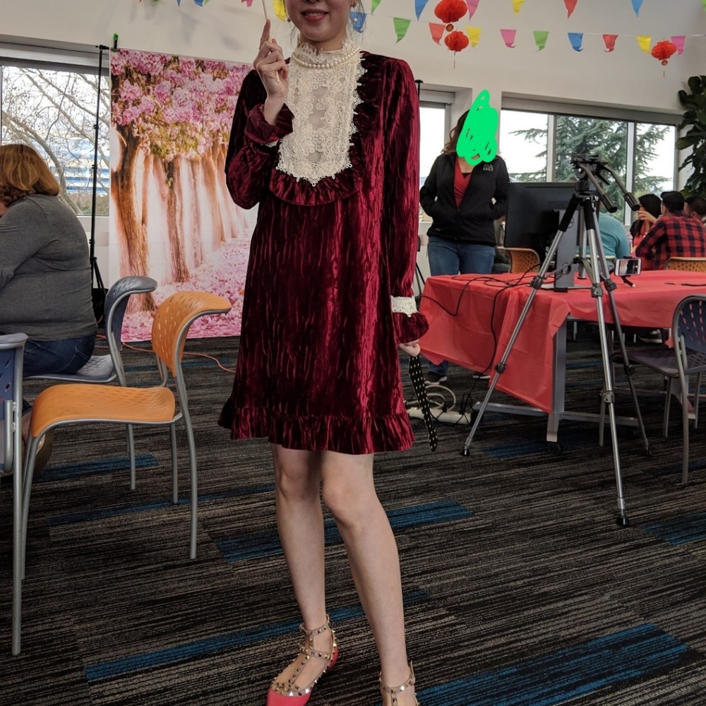 Anna Sui Velvet Dress
